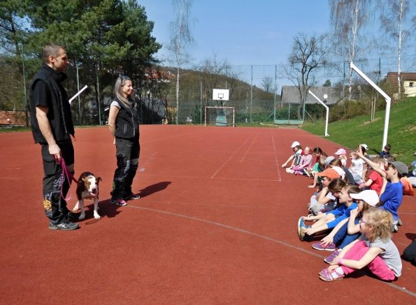 2016-04-04 B_pes 045