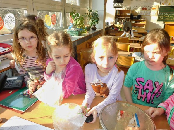 2016-03-14 ang_sperk 001