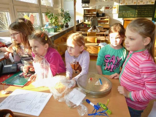 2016-03-14 ang_sperk 002