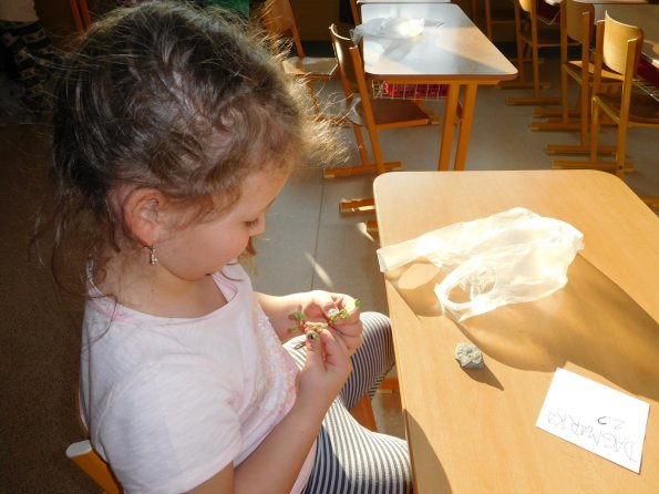 2016-03-14 ang_sperk 023